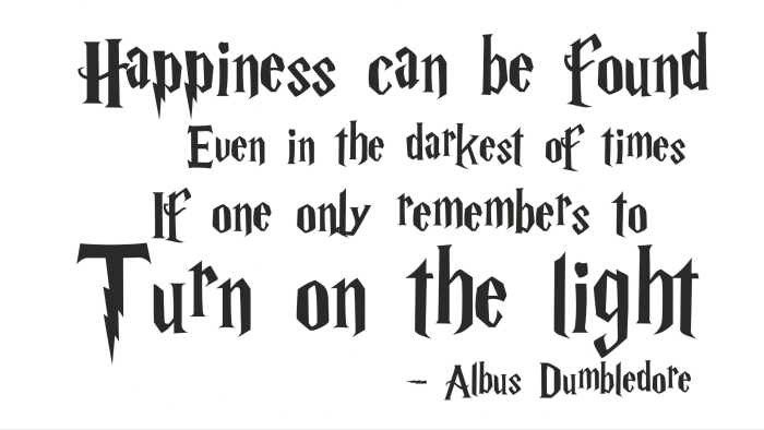 Albus Dumbledore Happiness Quote